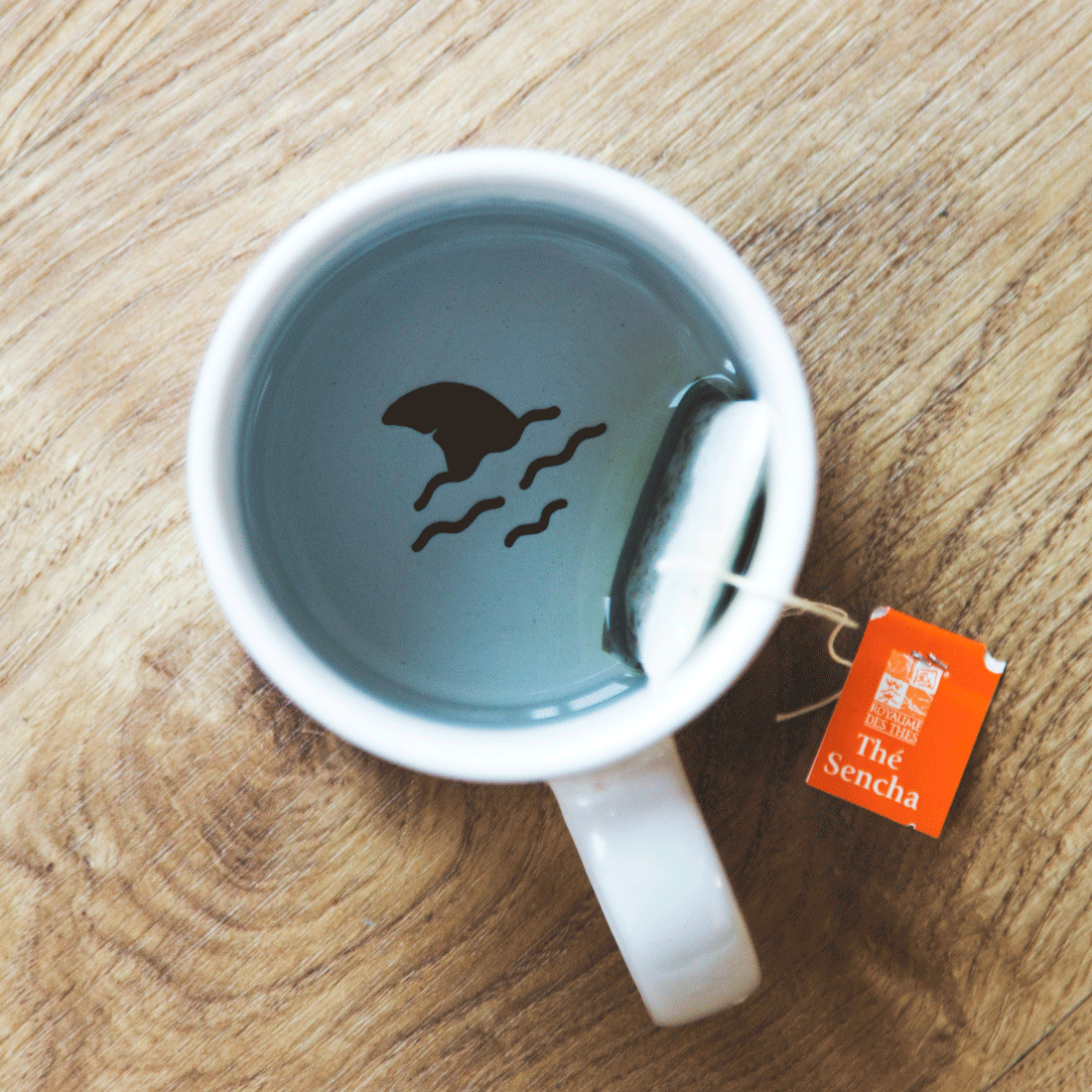 SHARK (pack de 2)